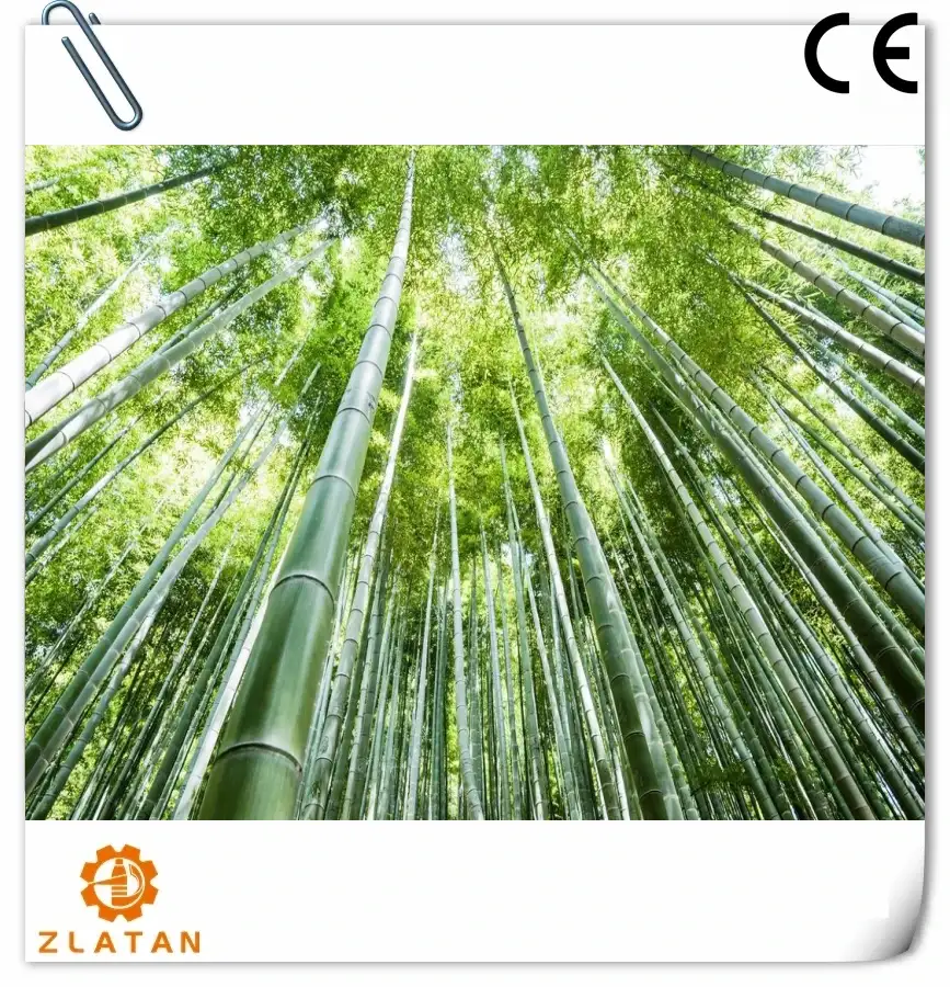 What impact will the replacing plastic with bamboo have on the plastic industry?