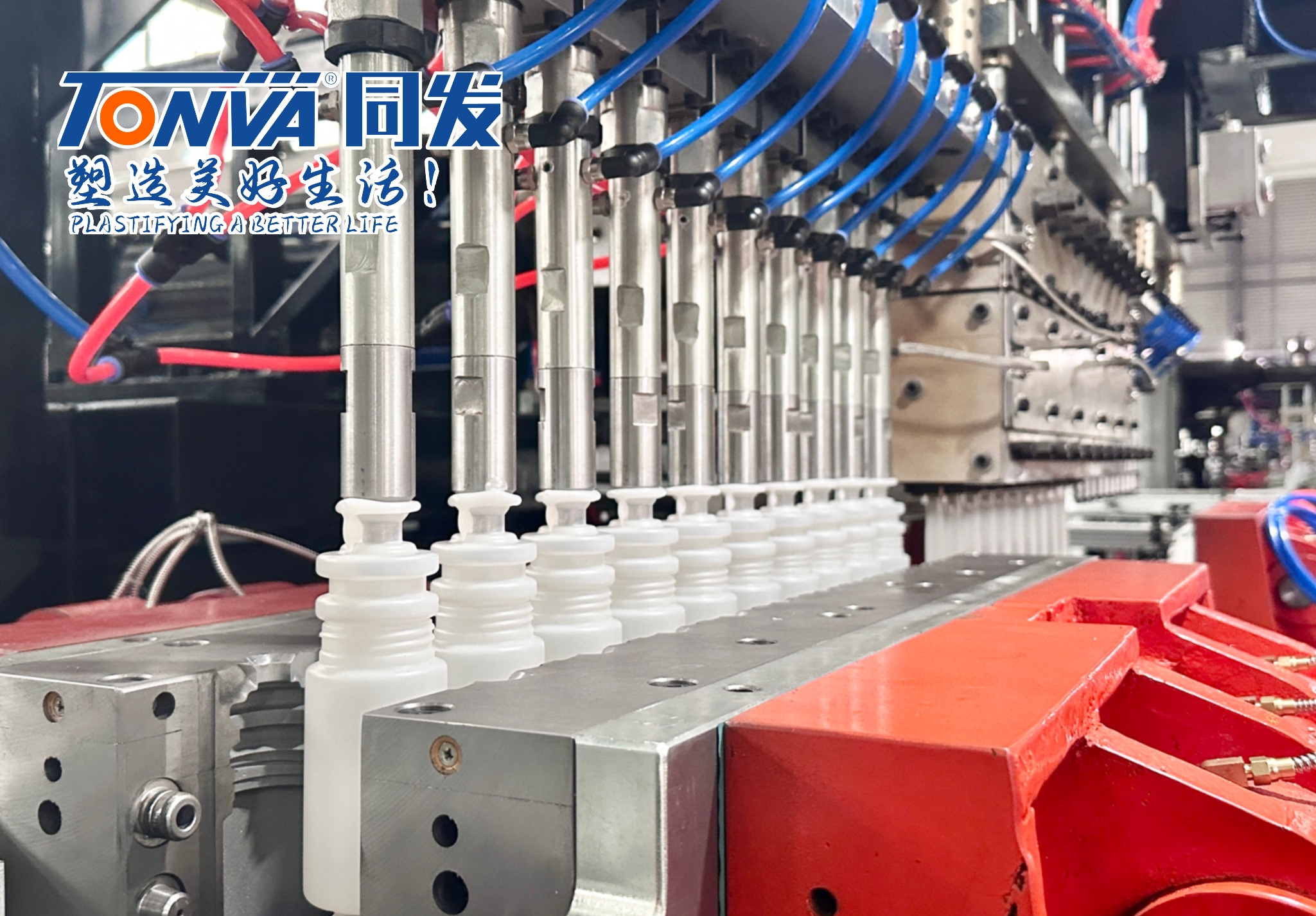 10 Cavities Bottle Blowing Machine manufacturing insight