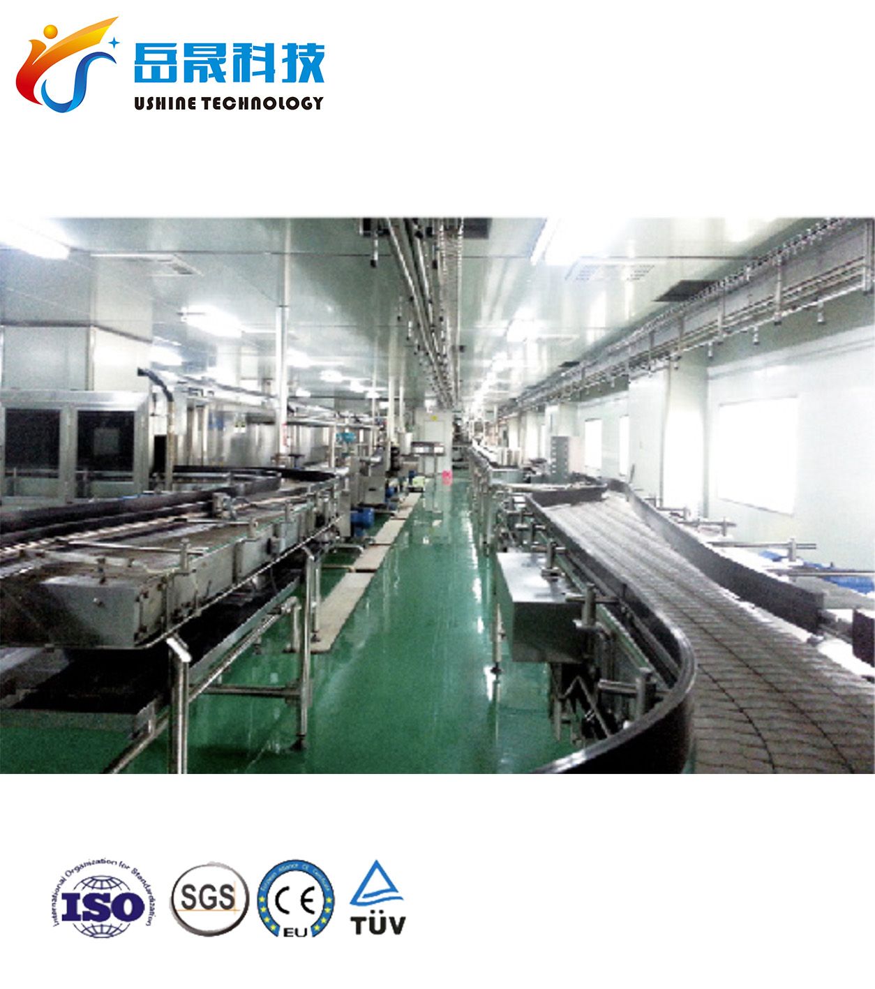 Top 8 Water Bottle Production Process Manufacturers (2026 Audit List)