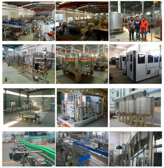 Pet Bottle Blowing Machine 10 Litter manufacturing insight